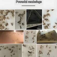 Trampas para polillas y plagas, pegatina para polilla de feromonas, atrapamoscas para insectos, trampas adhesivas para moscas, despensa de jardín, comida, atrapamoscas, pegatina, trampa para platos - 5 piezas - Ver 6
