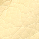 Butter Yellow
