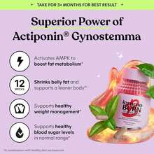 Lemme Burn - Metabolism, Belly Fat Burning + AMPK Activating Supplement For Men & Women W/Clinically Studied Actiponin Gynostemma, Green Tea Extract, Vitamins B6 & B12 - Gluten Free, 60 Count - 60 Count - View 5