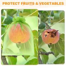 100pcs Reusable Orchard Net Bags For Plant Planting Protection Bags - Breathable Organza With Drawstring Net Bags, Insect And Bird Barrier, Lightweight And Transparent, Great For Pest Control And Planting, Fruit Tree Net - Multicolor - View 2
