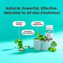 Internal Deodorant Supplement – Full Body Deodorizer For Gut Health, Skin Health, Detox & Digestion Support – Natural Odor Control Chlorophyll Pills For Head-To-Toe Freshness| 30 Capsules - Other - View 6
