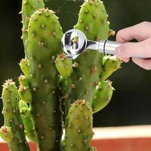 Set di 3/1 pezzi di cucchiai per sbucciare a forma di cactus in acciaio inossidabile, pelapatate multifunzione per frutta e verdura, sbucciatore a , scavatrici, utensile da cucina con manico lungo e foro per appendere, adatto per la cucina domestica e del ristorante - Argento - Visualizzare 3