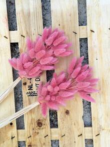 60/120/180/240 根兔尾巴 - 波西米亚风人造花束，适合 DIY、家居和婚礼装饰，农舍风格，适合圣诞节、感恩节、情人节、母亲节。 - 粉紅色兔尾草 - 查看 9