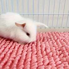 1pc/2pcs Solid Color Plush Thick Non-Slip Highly Absorbent Small Pet Hamster Guinea Pig Warm Pad Mat Blanket, Multi-Functional Mat For Small Pets, Suitable For All Seasons (Not Machine Washable) - Multicolor - View 19