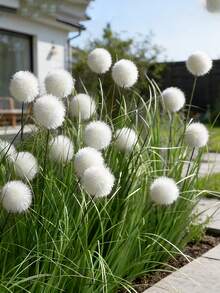 9 pièces Têtes de fleurs/3 pièces Tiges Plante en herbe artificielle haute, plante verte artificielle en plastique durable et réaliste pour la Saint-Valentin, la Fête des Mères, la Saint-Patrick, décoration d'intérieur et d'extérieur, de bureau et de fête, sans entretien - Multicolore - Voir 4