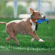 Durable Tug Of War Rope Toy For Dogs, With Two Soft And Sturdy Handles, Suitable For Medium And Small Breeds, Great For Tug Of War, Leash Training, And Puppy Training - Green - View 11