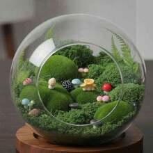 24 PCS Mini Mushroom Figurines, Resin Mushroom Decor Cute Lawn Garden Micro Decoration Miniature Fairy Garden Statues For Home Outdoor DIY Craft Plant Pots Micro Landscape - A - 查看 6