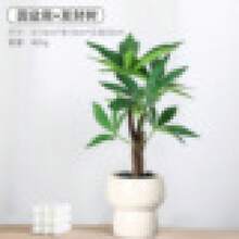 Decorative Box - 4 - ดู 7