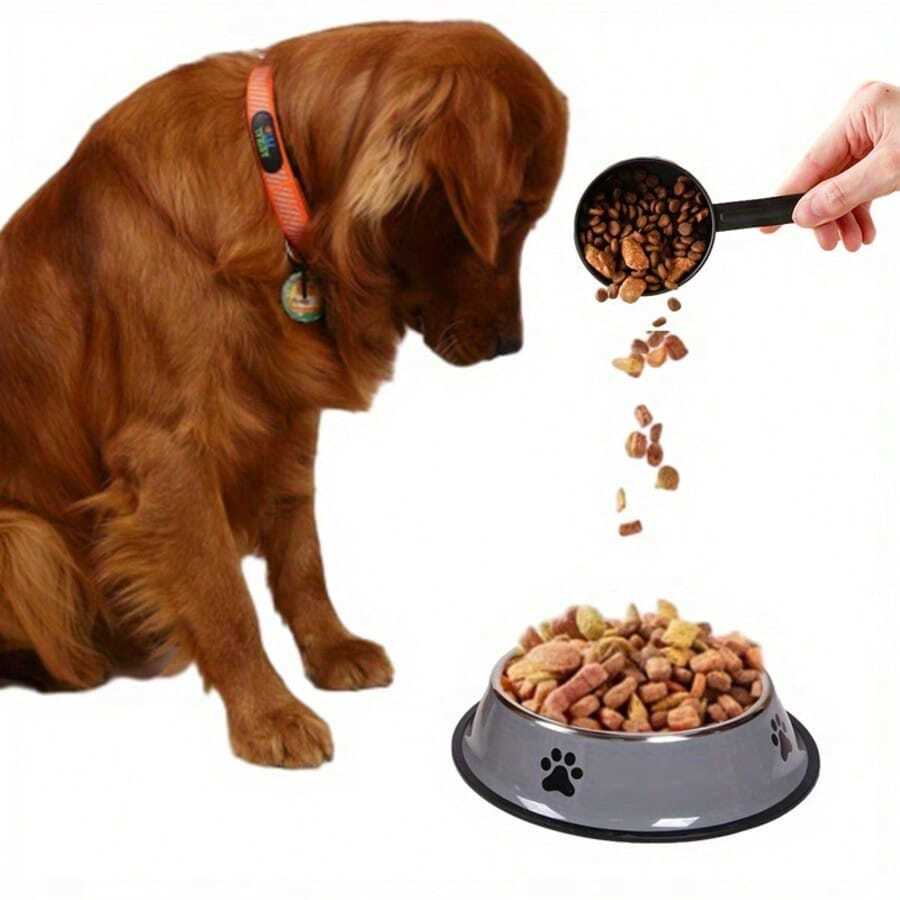 Bộ bát ăn và uống cho thú cưng bằng thép không gỉ, đế cao su chống trượt, bát ăn và uống cho chó mèo, bát ăn chậm, dễ vệ sinh, bền bỉ, thích hợp cho thú cưng ăn và uống.
