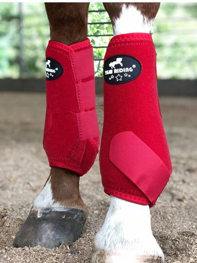  TGW RIDING Equine Sports Elite Front Leg Boot, Horse Leg Wraps, Pair