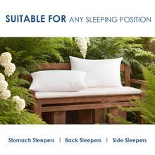 2-Piece White Pillow Core, Lightweight Down Instead Of Polyester Pillow, Sofa Cushion, Bed Pillow (2pc) - White - View 5