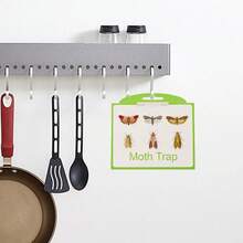 Trampas para polillas y plagas, pegatina para polilla de feromonas, atrapamoscas para insectos, trampas adhesivas para moscas, despensa de jardín, comida, atrapamoscas, pegatina, trampa para platos - 5 piezas - Ver 4