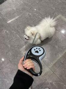 可伸缩宠物牵引绳，易于操控，耐用尼龙绳材质，适合中小型犬。 - 彩色 - 查看 2