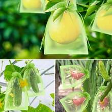 100pcs Reusable Orchard Net Bags For Plant Planting Protection Bags - Breathable Organza With Drawstring Net Bags, Insect And Bird Barrier, Lightweight And Transparent, Great For Pest Control And Planting, Fruit Tree Net - Multicolor - View 4