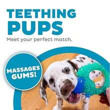 Outward Hound Cutie  Hedgehog Dental Dog Chew Toy, Blue,SmallBreeds&Puppy,Hedgehog - 戒指 - 查看 3