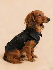 1件宠物服装，狗狗/猫咪套装，贵宾犬/泰迪犬幼犬服装，快乐幼犬/幼猫户外连衣裙，时尚休闲可爱舒适凉外套 - 黑色 - 黑色 - 查看 3