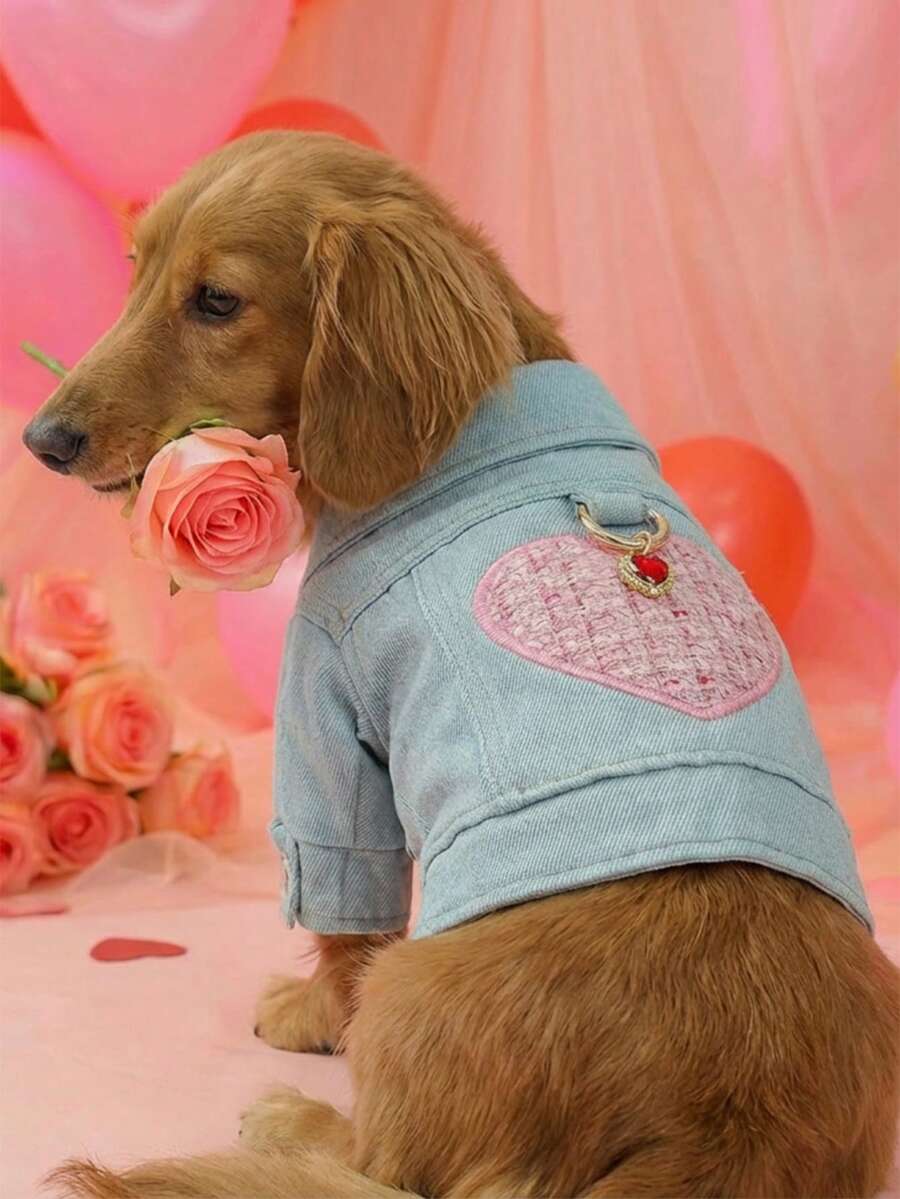宠物服装一件装，狗狗/猫咪套装，贵宾犬/泰迪犬幼犬服装，时尚休闲可爱舒适户外连衣裙