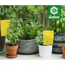 Gideal 20-Pack Dual-Sided Yellow Sticky Traps For Flying Plant Insect Such As Fungus Gnats, Whiteflies, Aphids, Leafminers,Thrips - (6x8 Inches, Included 20pcs Twist Ties) - 20-pack - View 4