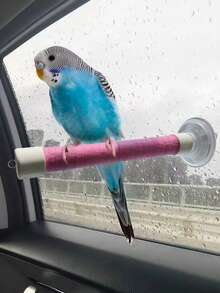 1pc Suction Cup Parrot Perch, Parrot Suction Cup Swing Stand - Bird Observation Perch, Parrot Bathing Bracket, Strong Suction, Suitable For Glass, Mirror, Tile (Includes Replacement Strap) - Multicolor - View 3