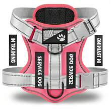 Harness, Reflective Dog Vest Harness With 5 PCS Patches, Adjustable Soft Oxford Pet Harness, Inner Layer Mesh, Easy To Control For Dogs - Hoa trà - Xem 1