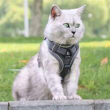 猫咪牵引绳和胸背带，柔软防逃脱猫咪胸背带，可调节反光猫咪背心式胸背带，透气户外散步猫咪背心式胸背带 - 彩色 - 查看 3