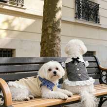 1 pieza Nuevo vestido de ropa para perros, camisa/vestido anti-pelo para perros y gatos pequeños, vestido de princesa para primavera/verano - Multicolor - Ver 6
