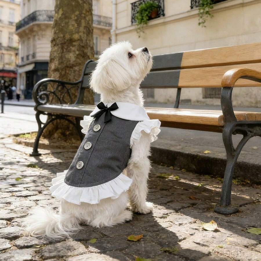 1 pieza Nuevo vestido de ropa para perros, camisa/vestido anti-pelo para perros y gatos pequeños, vestido de princesa para primavera/verano