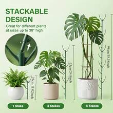 6件組龜背竹植物支撐套組，5根支撐桿及1捲紮帶，可堆疊式高桿，專為攀爬植物莖部設計的格子架式園藝支撐，適用於戶外園藝、園藝用品、室內植物架、植物配件 - 均碼 - 查看 1