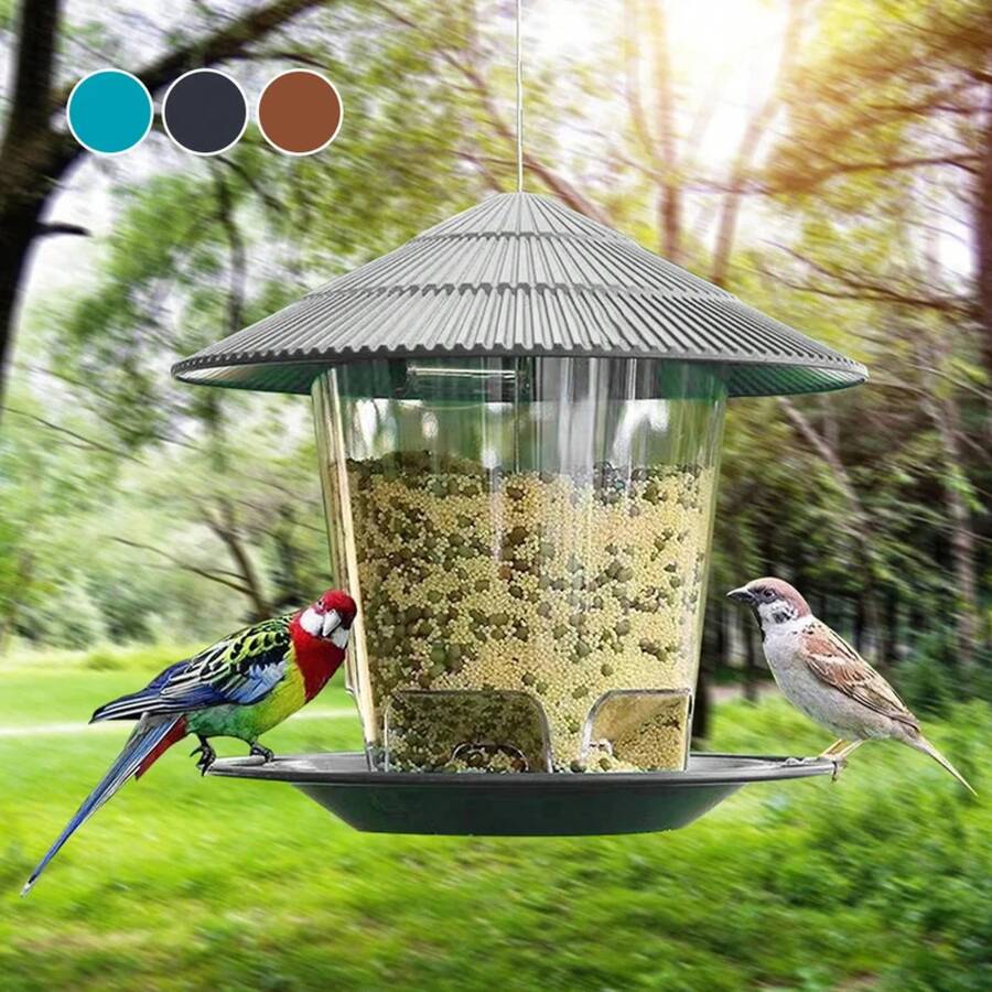 Bird Feeding - Gray - 查看 1