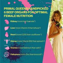 [HOTSELLERS]PrimalQueen 3-Pack Value Bundle, AllNatural Beef Organs Supplement For Women, 180 Total Capsules, Hormone Balance, Energy & Cycle Support, Grass-Fed - 3件裝 - 查看 5