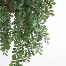 1/2/30 piezas Plantas colgantes artificiales (macetas no incluidas), plantas colgantes artificiales en maceta, plantas colgantes artificiales de mandravine, adecuadas para decoración colgante verde en interiores y exteriores del hogar, sala de estar, dormitorio, cocina, decoración de boda - verde oscuro - Ver 5