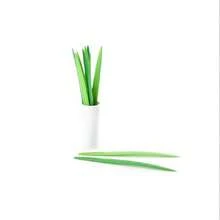 10个竹叶和绿叶形状的水果签，厨房用品 - 彩色 - 查看 3