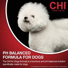 CHI For Dogs Deodorizing Spray For Dogs And Puppies, Dog Grooming Spray To Help Refresh Coats And Reduce Odors Between Baths While Moisturizing Fur, Unscented, 8 Fl Oz - ColorA - View 4