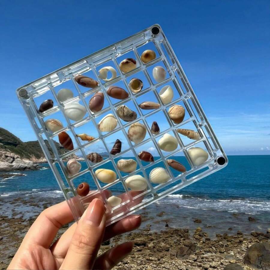36-Slot Transparent Plastic Specimen Display Box, Magnetic Acrylic Seashell Collection Box With Carrying Handle - Transparent Seashell Storage Box For Collecting Beach Findings, Small Stones, Minerals And Handicrafts - One Size Fits All - View 1