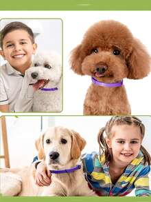 1 chiếc vòng cổ giúp trấn tĩnh thú cưng, phù hợp cho mèo và chó, được làm từ chất liệu TPR mềm mại, chống thấm nước và có thể điều chỉnh, giúp giảm bớt lo lắng cho thú cưng. - Màu tím - Xem 6