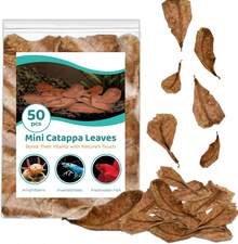 SunGrow 50 Pcs Betta Fin Rot Treatment Catappa  Almond Leaves, 2", Betta Water Conditioner Leaves For Fish Tank Aquarium, Leaf Create Realistic Blackwater River Habitat, Reduce Stress &Amp; Lower PH - ColorA - View 1