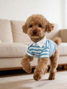 1pc 2026 New Striped Pet Clothes, Ins Style Classic Polo Shirt For Cats & Dogs, Suitable For Indoor & Outdoor, Viral Photo Prop - Màu xanh lam - Xem 4