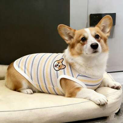 Breathable Mesh Dog Clothes, Lightweight Summer Outfit For Medium Small Dogs Like Corgi, Poodle, Shiba Inu