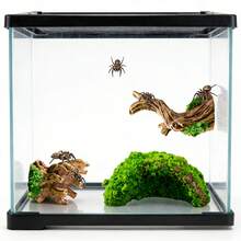 3 pièces Cachette en branche d'arbre creuse pour reptiles, décoration d'escalade pour terrarium et habitat d'insectes - Voir 6