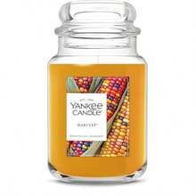 Candles - Mustard - View 8