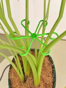 Set de 4 soportes de bambú con forma de caparazón de tortuga, para evitar que se caigan las macetas, estantería para macetas, adecuado para plantas en maceta, lirio de cala, plantas verdes - Multicolor - Ver 2
