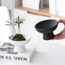 1件陶瓷花盆托盤 桌面裝飾盤 水培水果植栽盆 巴西木 水耕小綠植陽台花瓶 - A - 查看 1