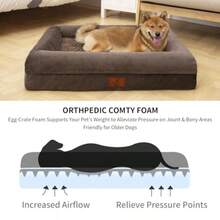 Camas para Perros Medianos Cama Ortopédica para Perros Cama Lavable para Perros con [Almohadilla Extraíble] Cama Impermeable para Perros con Fondo Antideslizante Cama para Perros - 33 Largo x 25 Ancho x 6.5 Th - Ver 3