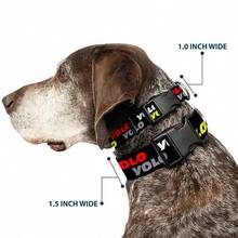 Buckle-Down Plastic Clip Dog Collar, YOLO 2 Black/Red/White/Grey/Yellow, 15 To 26 Inch Neck Sizex 1.0 Inch Width - Default - View 2