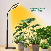 68英寸全光谱落地式植物生长灯，带3/9/12小时定时器，适用于种植大型高大植物，黑色环形LED植物生长灯 - 全光譜太陽光 - 查看 12