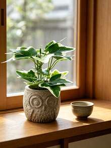 一套人造塑料迷你盆栽花卉,适合装饰桌面、橱柜、玄关、壁柜,也可作为摄影道具。 - 隨機款式 - 查看 4