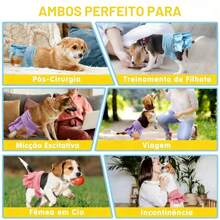 Fralda Para Pet Roupa Íntima Higiênica Reutilizável Calça Fisiológica Impermeável Lavável Fêmea Macho LR-0340/LR-0341 - PP (XS) - Visão 5