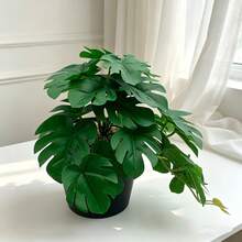 2株爬行动物仿真植物，吸盘式玻璃缸植物，两栖动物缸躲藏悬挂植物，宠物繁殖箱栖息地植物，热带雨林植物，适用于蜥蜴、睫角守宫、鬃狮蜥、蛇类，家居装饰，鱼缸装饰 - 彩色 - 查看 8
