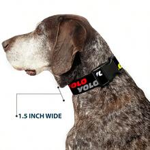 Buckle-Down Plastic Clip Dog Collar, YOLO 2 Black/Red/White/Grey/Yellow, 15 To 26 Inch Neck Sizex 1.0 Inch Width - Default - View 7