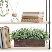 Macetero de madera rectangular - Acento de vegetación estilo rústico | Soporte de plantas de madera | Ideal para decorar bodas, mesas de comedor, alféizares de cocina y chimeneas (plantas no incluidas) - Multicolor - Ver 7